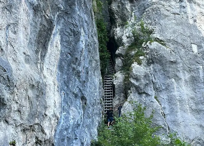 Katja Bohinjska Bela