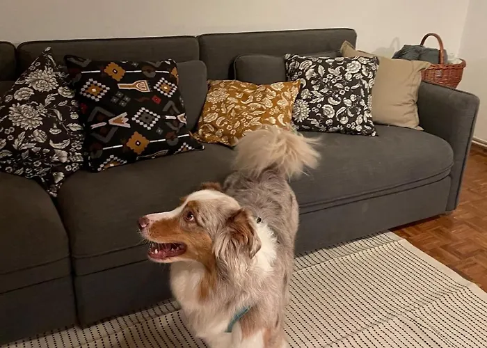 Katja Bohinjska Bela